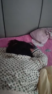 夫妻日常